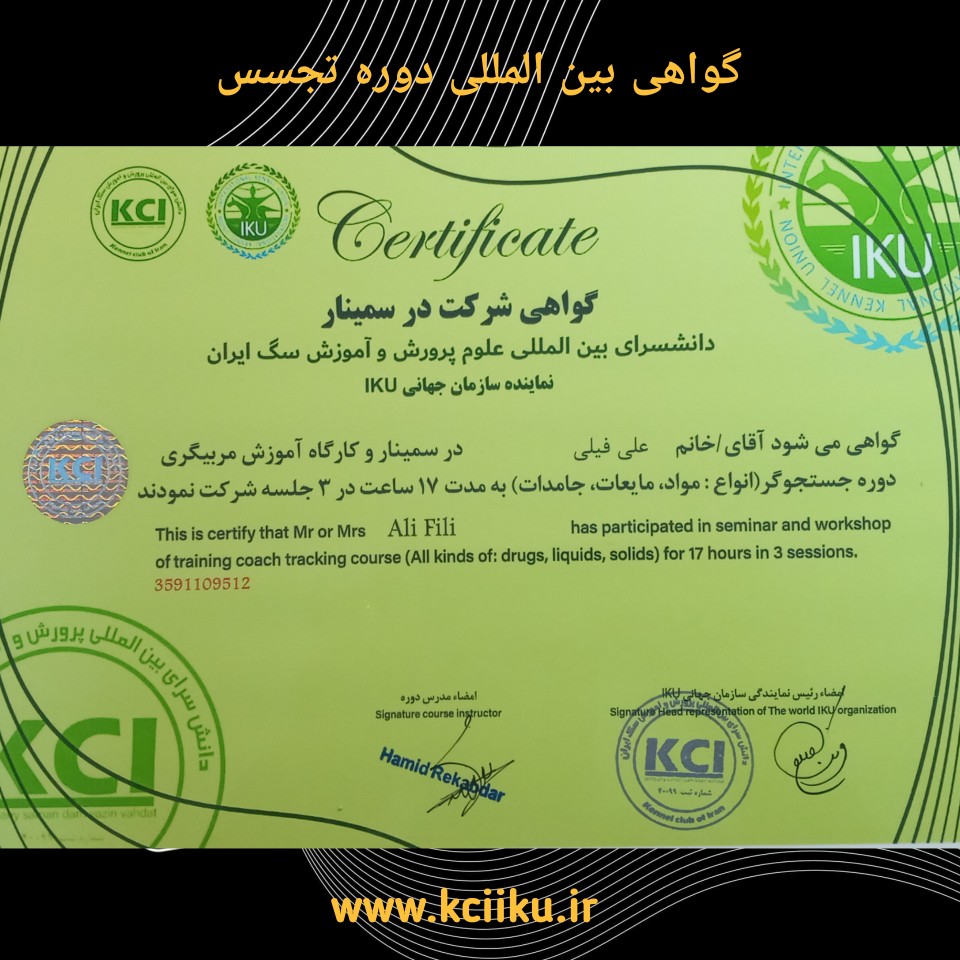 سگ تجسس سگ مواد یاب سگ جستجوگر کلاس مربیگری سگ kci